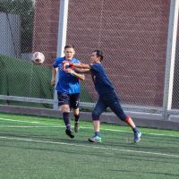 IMG 0239