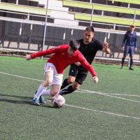 IMG 9731