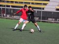 IMG 9739
