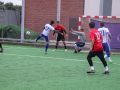 IMG 2595