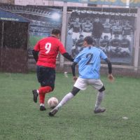 IMG 4217