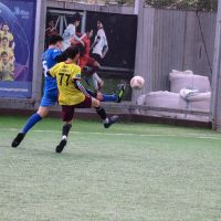 IMG 4258