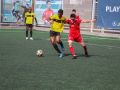 IMG 3661