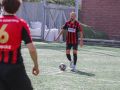 IMG 3154