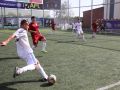 IMG 9255