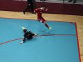 IMG 3384