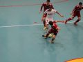 IMG 3455