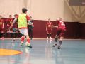 IMG 5593