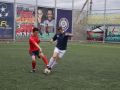 IMG 8174