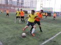 IMG 8447