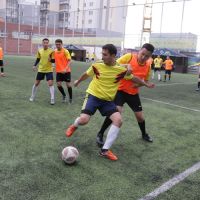 IMG 8447