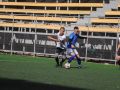 IMG 3518