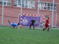 IMG 7333