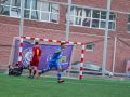 IMG 7338