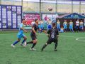 IMG 4387
