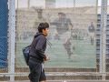 IMG 4451