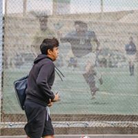 IMG 4451