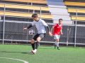 IMG 6047