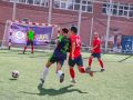 IMG 6351