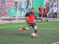 IMG 6524