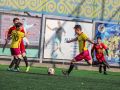IMG 7046